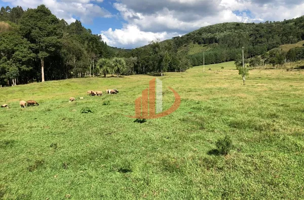 FAZENDA COM 33 ALQUEIRES NO INTERIOR DO PARANÁ - Foto 6