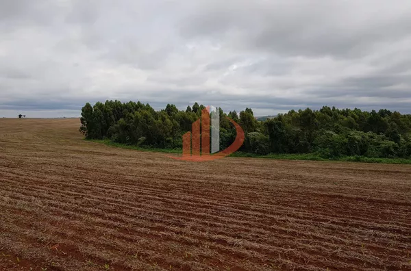 FAZENDA MODELO — OESTE DO PARANÁ - Foto 12