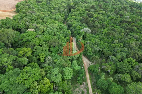 CHÁCARA COM 5 ALQUEIRES EM VITORINO/PR - Foto 6