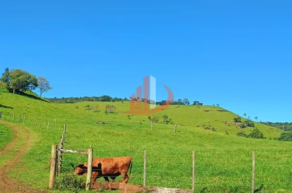 VENDE-SE FAZENDA A 24KM DE NOVA LARANJEIRAS! - Foto 15