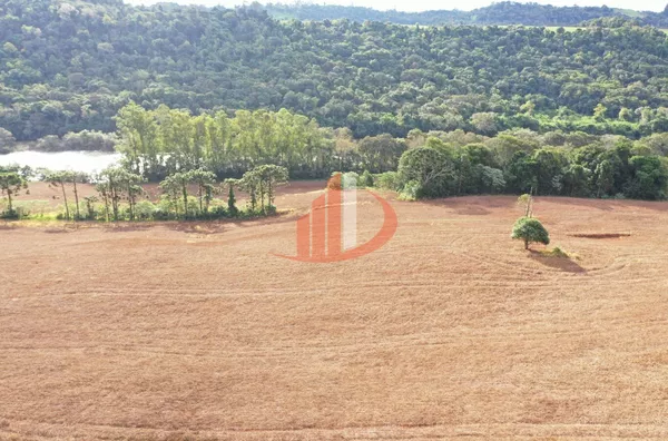 FAZENDA PRÓXIMA A PATO BRANCO PARA VENDA - Foto 8