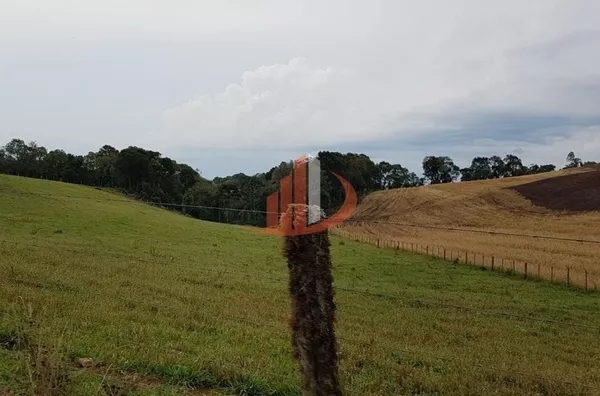 FAZENDA COM 203,5 ALQUEIRES À VENDA NO SUDOESTE DO PARANÁ. - Foto 13