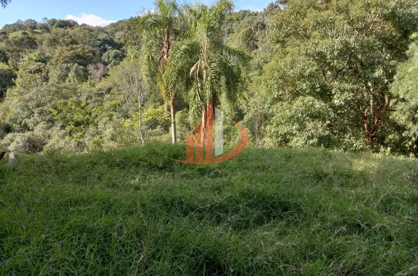 CHÁCARA COM 2,5 ALQUEIRES À VENDA EM VITORINO/PR - Foto 51