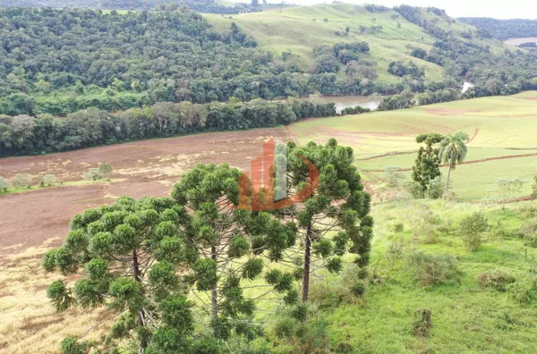 FAZENDA PRÓXIMA A PATO BRANCO PARA VENDA - Foto 11