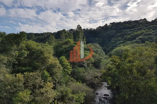 FAZENDA COM 1.234,62 HECTARES DE ALTA RENTABILIDADE! - Foto 9