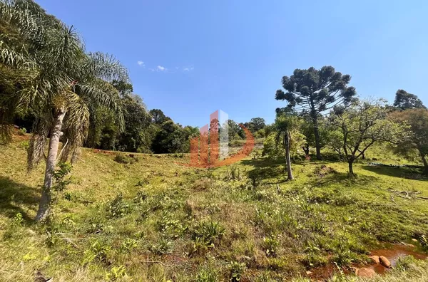 CHÁCARA COM 2,5 ALQUEIRES À VENDA EM VITORINO/PR - Foto 8
