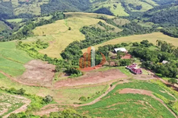 FAZENDA EM SALGADO FILHO/PR COM 39 ALQUEIRES - Foto 16