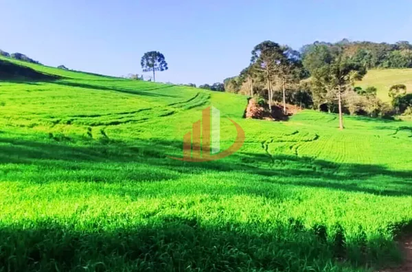 VENDE-SE PROPRIEDADE RURAL Á 18KM DA CIDADE DE PATO BRANCO! - Foto 6
