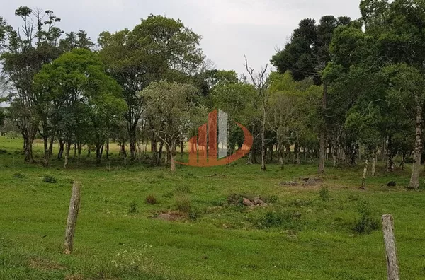 FAZENDA COM 203,5 ALQUEIRES À VENDA NO SUDOESTE DO PARANÁ. - Foto 27