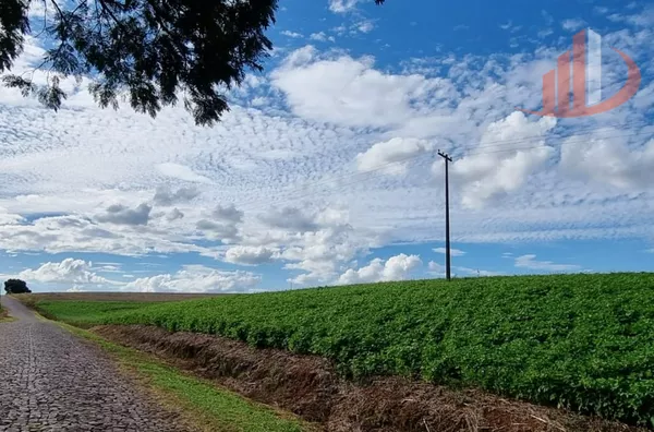 Fazenda para venda,  Zona Rural, Pato Branco