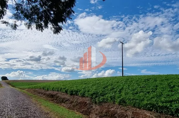 Fazenda para venda,  Zona Rural, Pato Branco