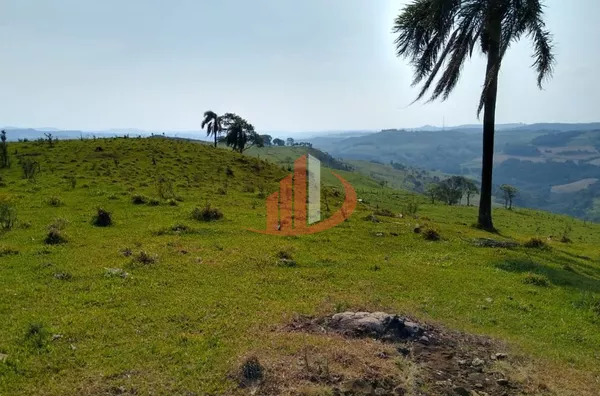 Fazenda para Venda em Campo Erê / SC no bairro Zona Rural - Foto 18