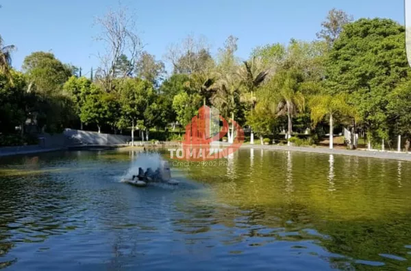 CHÁCARA PARA VENDA COM LOCALIZADA EM PATO BRANCO/PR - Foto 6