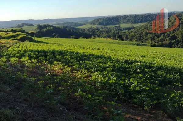 ÁREA DE TERRA COM 27 ALQUEIRES PARA INVESTIDORES OU EMPREENDIMENTOS