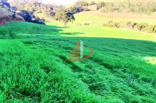 VENDE-SE PROPRIEDADE RURAL Á 18KM DA CIDADE DE PATO BRANCO! - Foto 7