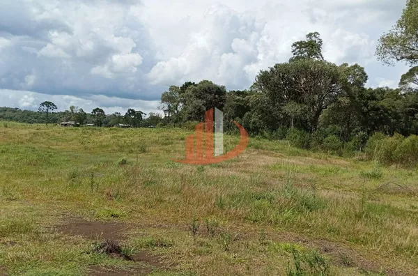 FAZENDA COM 205 HECTARES, REGIÃO DO HORIZONTE, SUDOESTE DO PARANÁ - Foto 4