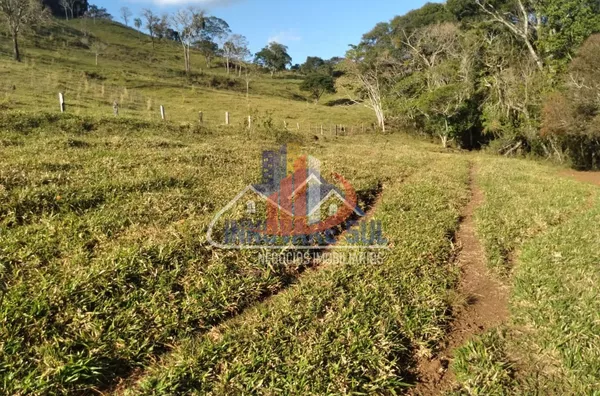 FAZENDA NA REGIÃO DE NOVA LARANJEIRAS/PR - Foto 11