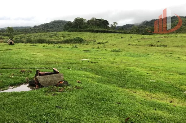 FAZENDA COM 205 HECTARES, REGIÃO DO HORIZONTE, SUDOESTE DO PARANÁ