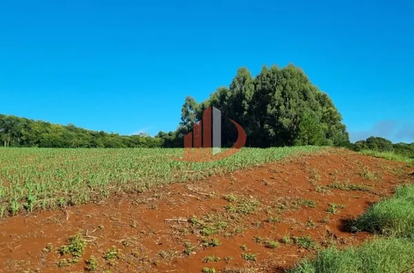 FAZENDA PRA VENDA NO SUDOESTE DO PARANÁ - Foto 4