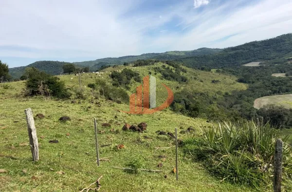FAZENDA 211,19 ALQUEIRES EM LARANJEIRAS DO SUL/PR - Foto 4