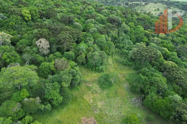 CHÁCARA COM 5 ALQUEIRES EM VITORINO/PR