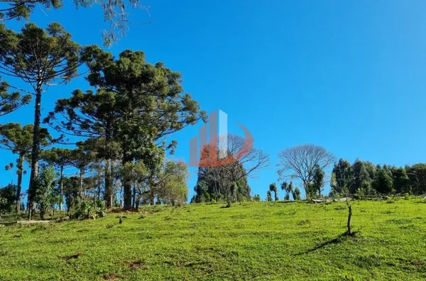 CHÁCARA COM 5 HECTARES PRÓXIMO A PATO BRANCO - Foto 23