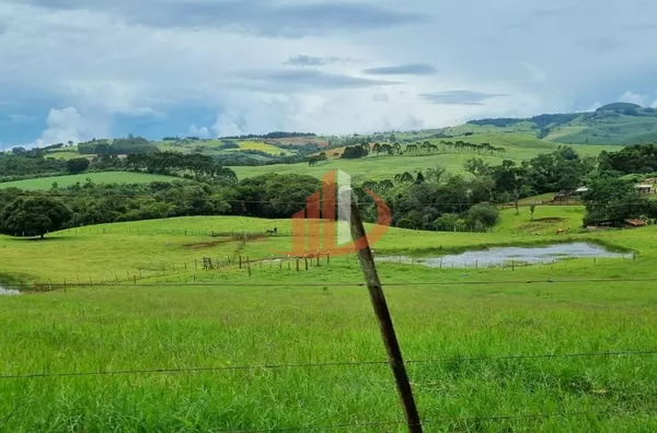 FAZENDA COM DUPLA APTIDÃO, 210 ALQUEIRES, REGIÃO CENTRO SUL DO PARANÁ - Foto 18