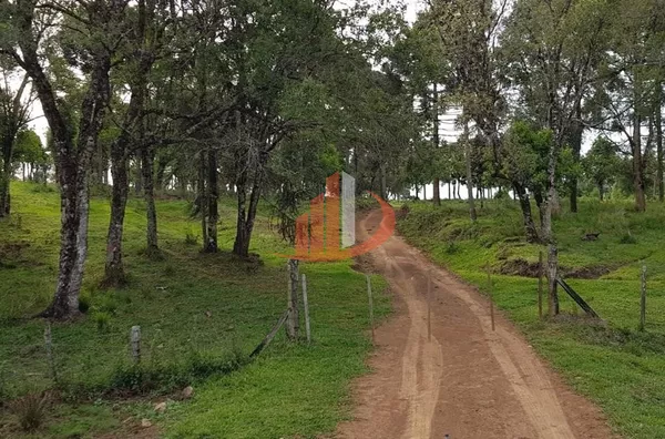 FAZENDA COM 203,5 ALQUEIRES À VENDA NO SUDOESTE DO PARANÁ. - Foto 7