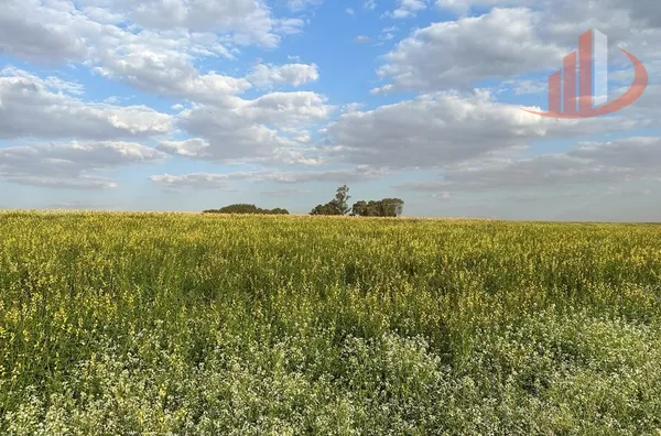FAZENDA À VENDA EM DOURADOS/MS