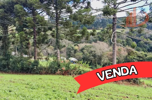 Imóveis rurais para venda,  área Rural De Pato Branco, Pato Branco