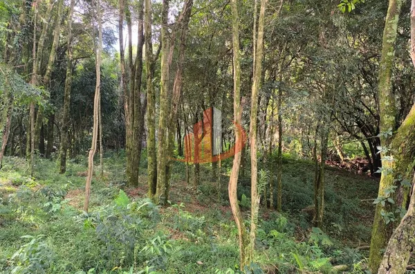 CHÁCARA COM 52.000m² À VENDA EM PATO BRANCO/PR - Foto 30