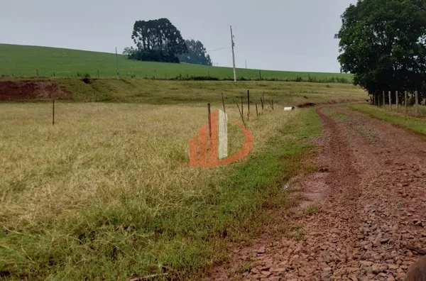 VENDE-SE CHÁCARA NA CIDADE DE PATO BRANCO! - Foto 10