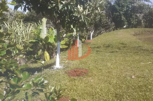 Imóveis rurais para venda, , São Lourenço Do Oeste - Foto 17
