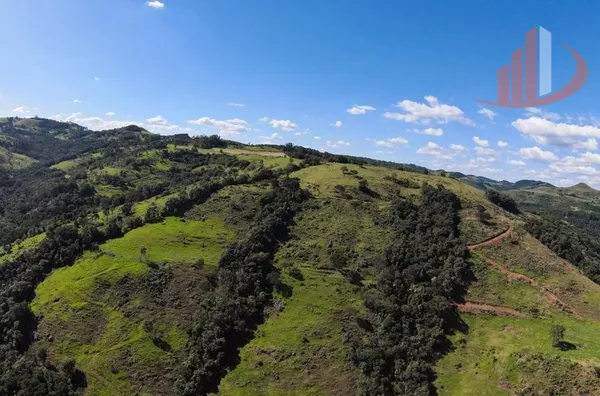 FAZENDO 200 ALQUEIRES NO PARÁ