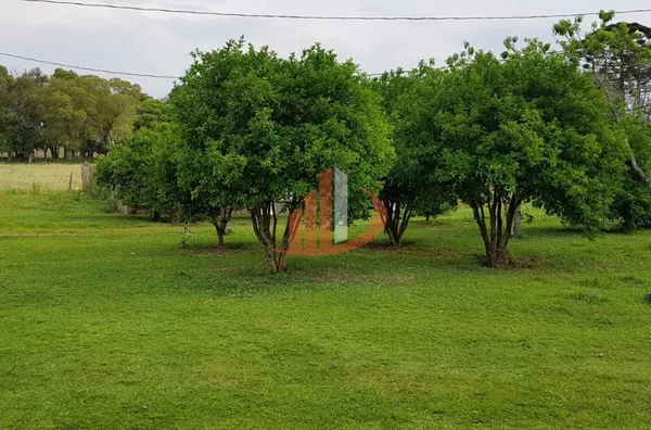 FAZENDA 200 ALQUEIRES REGIÃO SUDOESTE DO PARANÁ - Foto 2