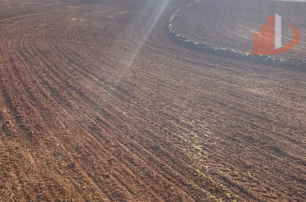 CONFINAMENTO E ÁREA AGRÍCULA PARA ARRENDAMENTO 