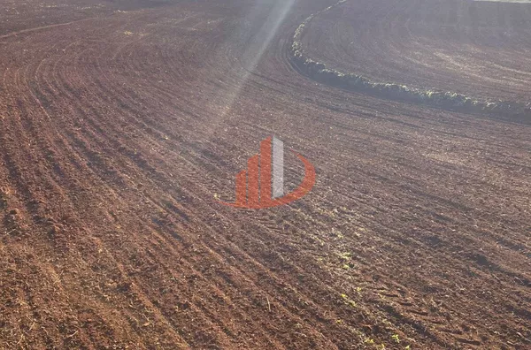CONFINAMENTO E ÁREA AGRÍCULA PARA ARRENDAMENTO - Foto 3