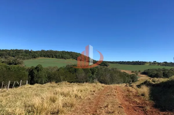 FAZENDA 211,19 ALQUEIRES EM LARANJEIRAS DO SUL/PR - Foto 11