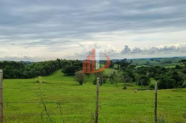 FAZENDA COM DUPLA APTIDÃO, 210 ALQUEIRES, REGIÃO CENTRO SUL DO PARANÁ - Foto 22