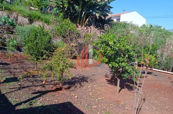 CASA COM 260m² EM CORONEL VIVIDA/PR - Foto 3