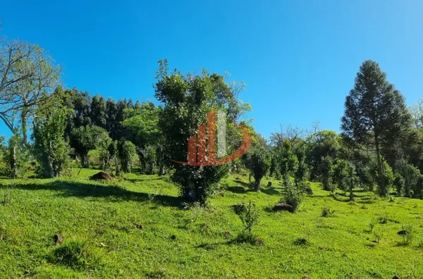 CHÁCARA COM 5 HECTARES PRÓXIMO A PATO BRANCO - Foto 21