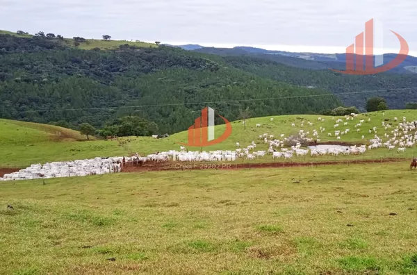 Imóveis rurais para venda,  - Selecione - Bairro, Nova Laranjeiras
