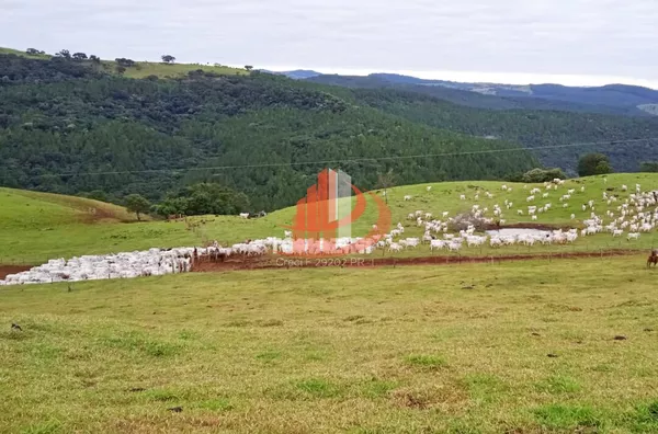 Imóveis rurais para venda,  - Selecione - Bairro, Nova Laranjeiras