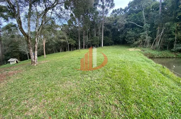 CHÁCARA COM 13.000m² À VENDA EM PATO BRANCO/PR - Foto 26