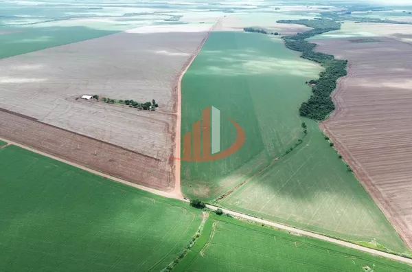 FAZENDA COM 860 HECTARES EM MATO GROSSO DO SUL - Foto 12