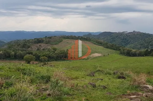 FAZENDA COM 203,5 ALQUEIRES À VENDA NO SUDOESTE DO PARANÁ. - Foto 20