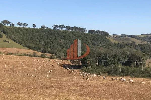 FAZENDA COM 1.234,62 HECTARES DE ALTA RENTABILIDADE! - Foto 10
