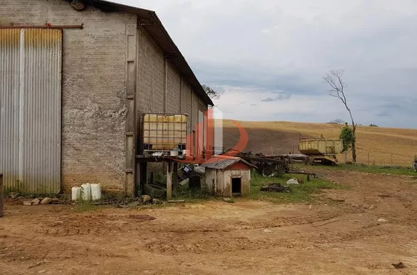 FAZENDA COM 203,5 ALQUEIRES À VENDA NO SUDOESTE DO PARANÁ. - Foto 8