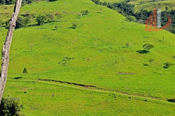 VENDE-SE FAZENDA A 24KM DE NOVA LARANJEIRAS!