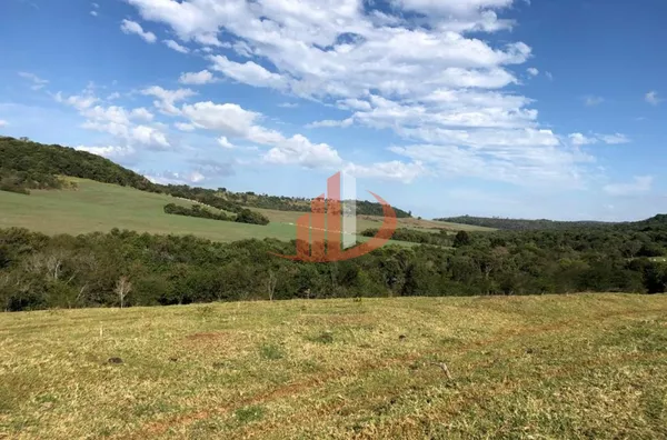 FAZENDA 211,19 ALQUEIRES EM LARANJEIRAS DO SUL/PR - Foto 17